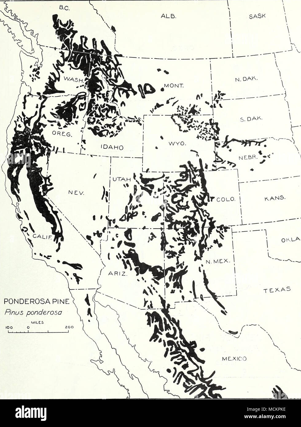 Map of the ponderosa hires stock photography and images Alamy