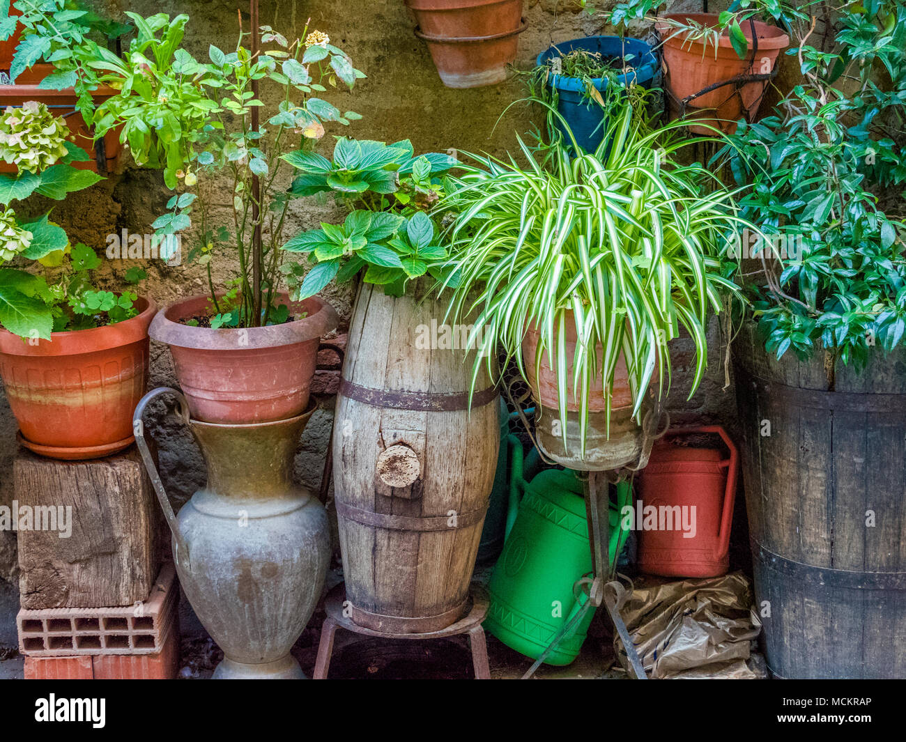 Street scene in town of Pitigliano in tuscany, Italy Stock Photo