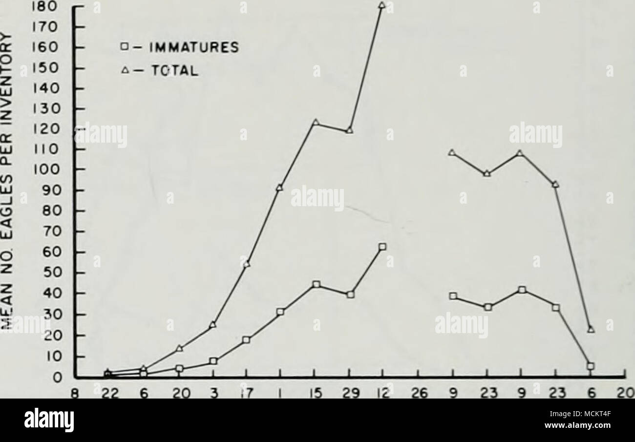 . Fig. 21.-Mean number of bald eagles tountecl per inventory at cen.sus areas within the Central Illinois River Region, 1972-1986. Fig. 23.-Mean number of bald eagles counted per Lower Illinois River Region. 1972-1986. 0 to 50.09^ of tlie total eagles observed, and the overall proportion of immatiires was 34.79^ for all inven- tories. The mean number of eagles inventoried per cen- sus flight is illustrated in Figure 24. ,reas with the most use by bald eagles intluded Chautauqua National Wildlife Refuge (Fig. 25), Crane Lake, Clear Lake, Cuba Island, and Jack Lake (Appendix). .11 of these are Stock Photo