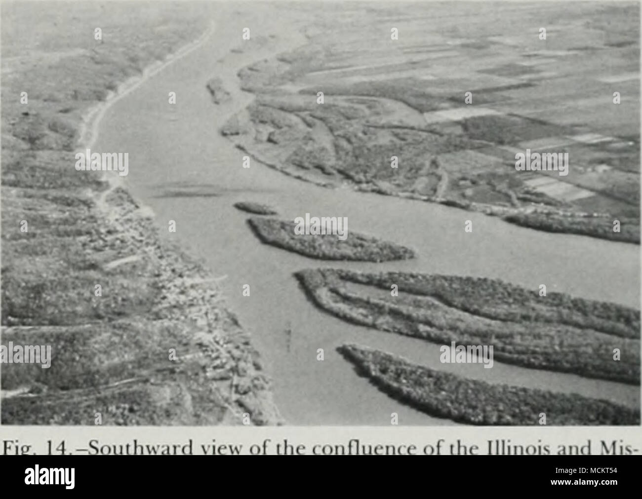 . Fig. 14.-Southward view ol il sissippi rivers, an iniporl.irii .iilliuiu.i.rilH- Illinois and Mi' Icii uiiiiciImj&lt; l)al(l eagles. 1985). Each January, IDOC hosts the popular Bald Eagle Appreciation Days in this area for the public to view the large numbers of wintering eagles. In this area, IDOC, The Nature Conservancy, and W'estern Illinois University manage properties (Fig. 15) that are maintained for foraging and night roosting of bald eagles. The numbers of bald eagles in the Keokuk area are undoubtedly higher than the INHS aerial census data reflect because not all of the managed pro Stock Photo