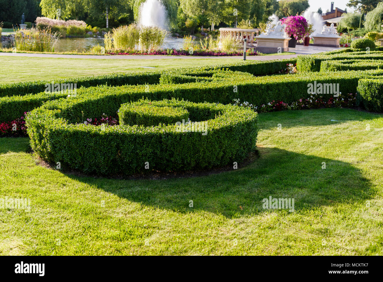 green cut bush in landscape design Stock Photo Alamy