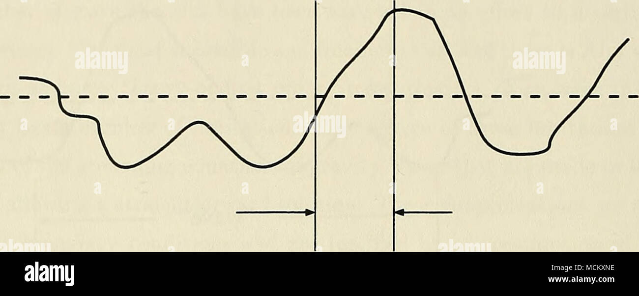 Local Segment . Local Segment Figure 1.2: Segment of record considered for local ...