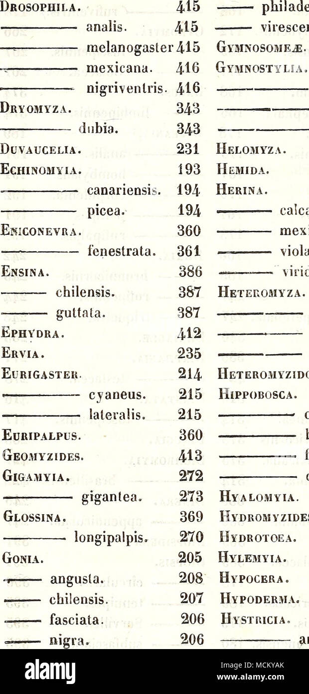 . nk analis. 24-5 • cilipes. 246 - selosa. 245 iiutqïflii] 34-5 231 caîcaralci. mexicana. violacea. viridis. fnsca. orientalis. rufipes. Heteromyzidoe. .3vii œgyptiaca. bipartita. fossulata. orientalis. Hyalomyia. ,^ HYDBOaiVZIDES. Hydrotoea. Hylemyia. ; ;, Hypocera. Hypoderma.^, . Hystricia. Aïîn&gt;r 207 208 207 232 244 245 246 245 345 231 364 364 365 364 365 419 420 419 420 418 430 431 432 433 432 235 416 321 325 427 182 200 201 Stock Photo