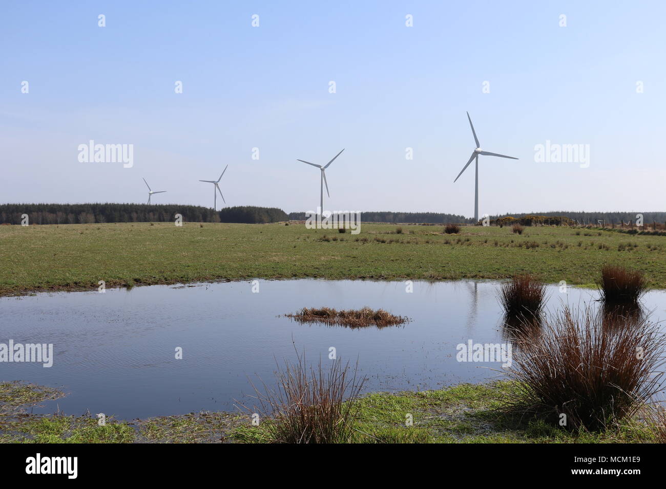 Wind turbines in rural setting Stock Photo