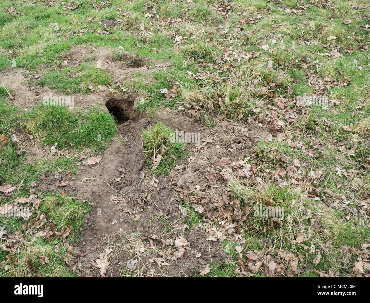 Begiinning hi-res stock photography and images - Alamy