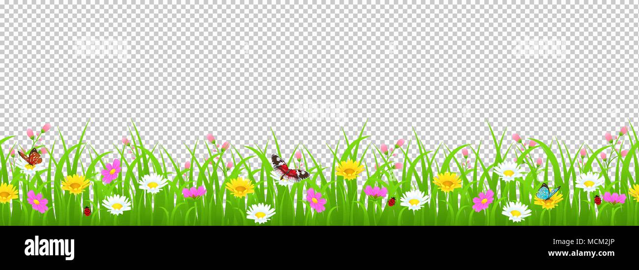 Flowers and grass border, yellow and white chamomile and delicate pink meadow flowers and green grass, butterflies and ladybug on transparent backgrou Stock Vector