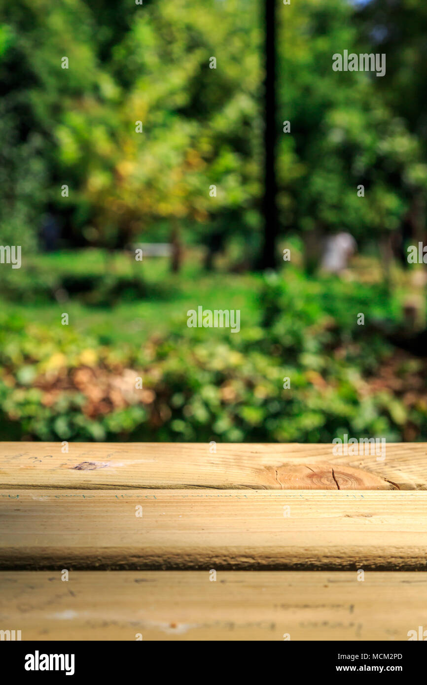 Empty wooden table and forest with trees in nature Stock Photo - Alamy