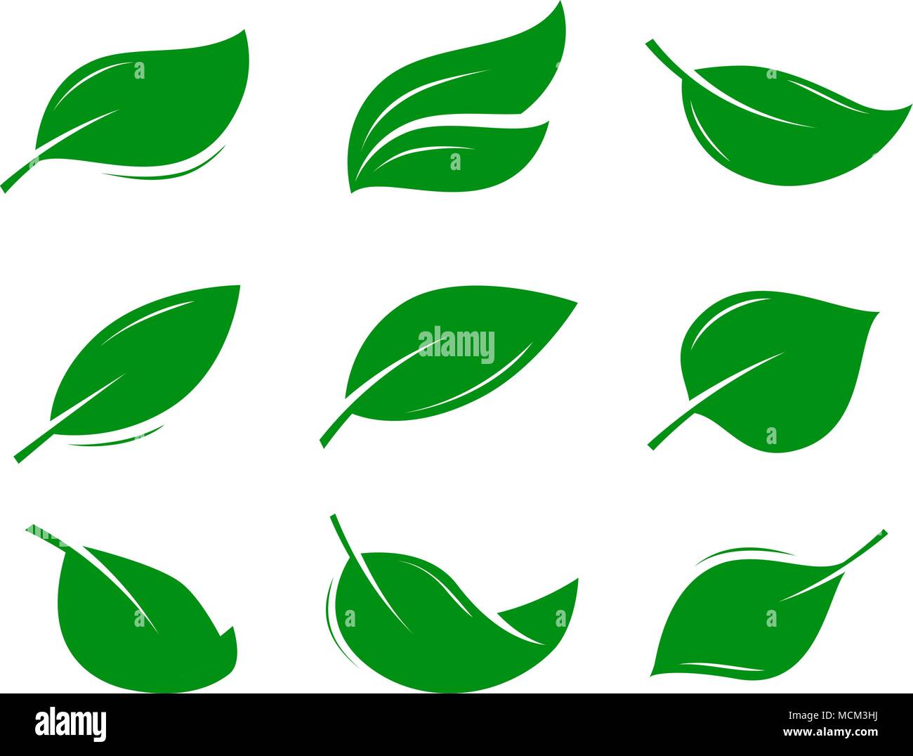 green leaf logo or label. natural product, nature, eco icon Stock Vector
