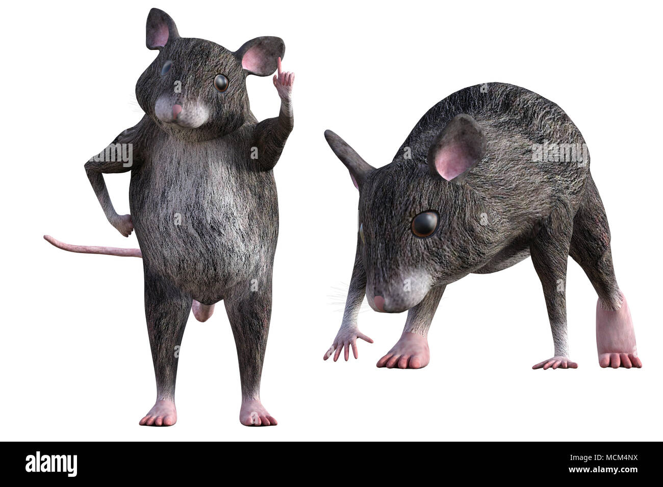 Brown and grey mice isolated on white, 3d render. Stock Photo