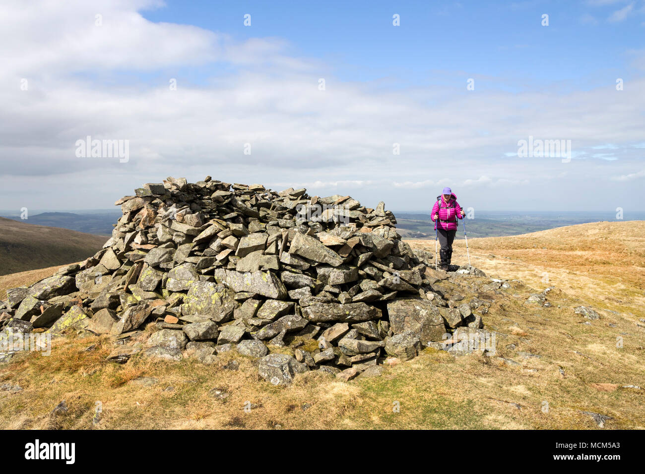 Hill Walker Approaching the Summit Shelter on Meal Fell, Uldale Fells, Lake District, Cumbria, UK. Stock Photo