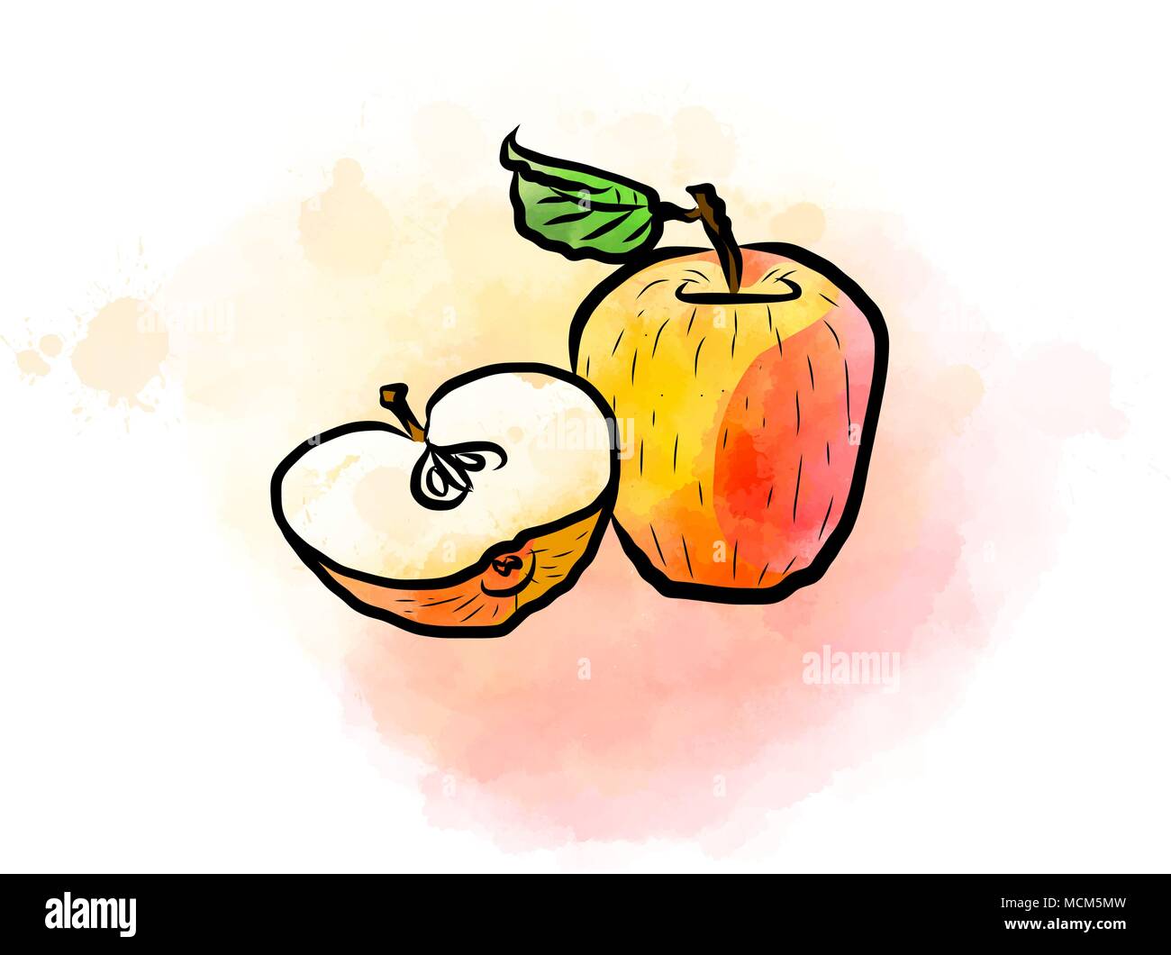 Colored drawing of apples. Fresh design of colorful fruits made in watercolor style. Vector marketing illustration on white background. Stock Vector
