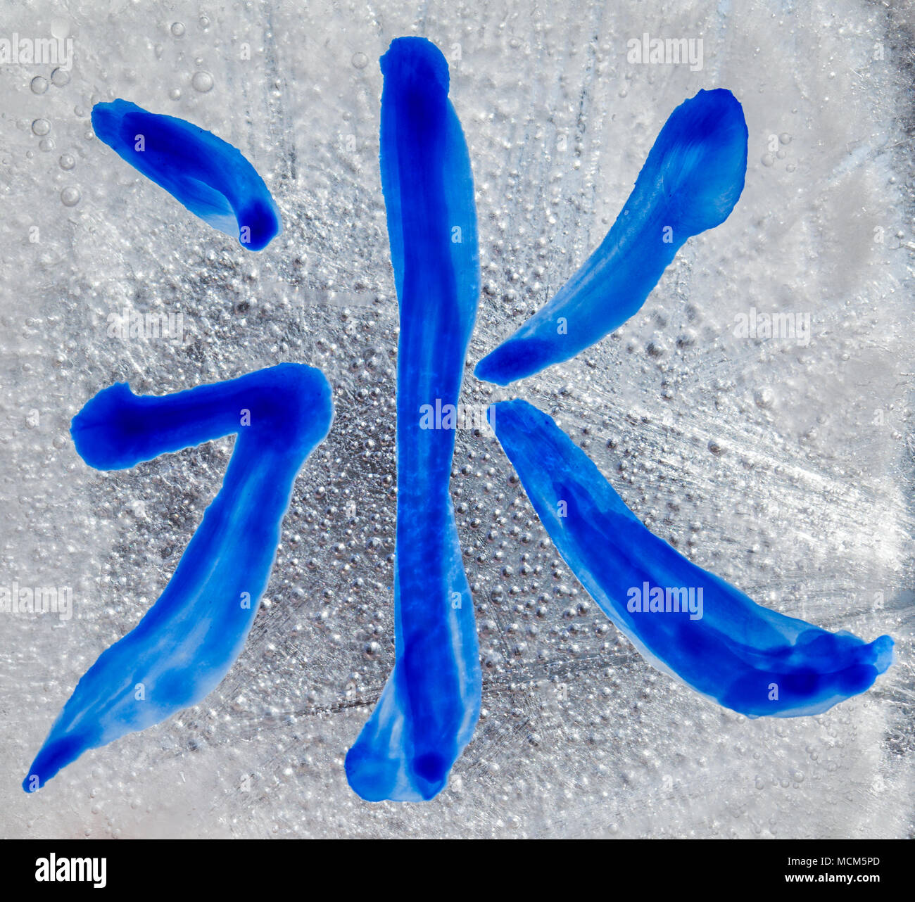 Ice In Chinese Chinese calligraphic symbol bing - ice, painted on a block of ice Stock ...
