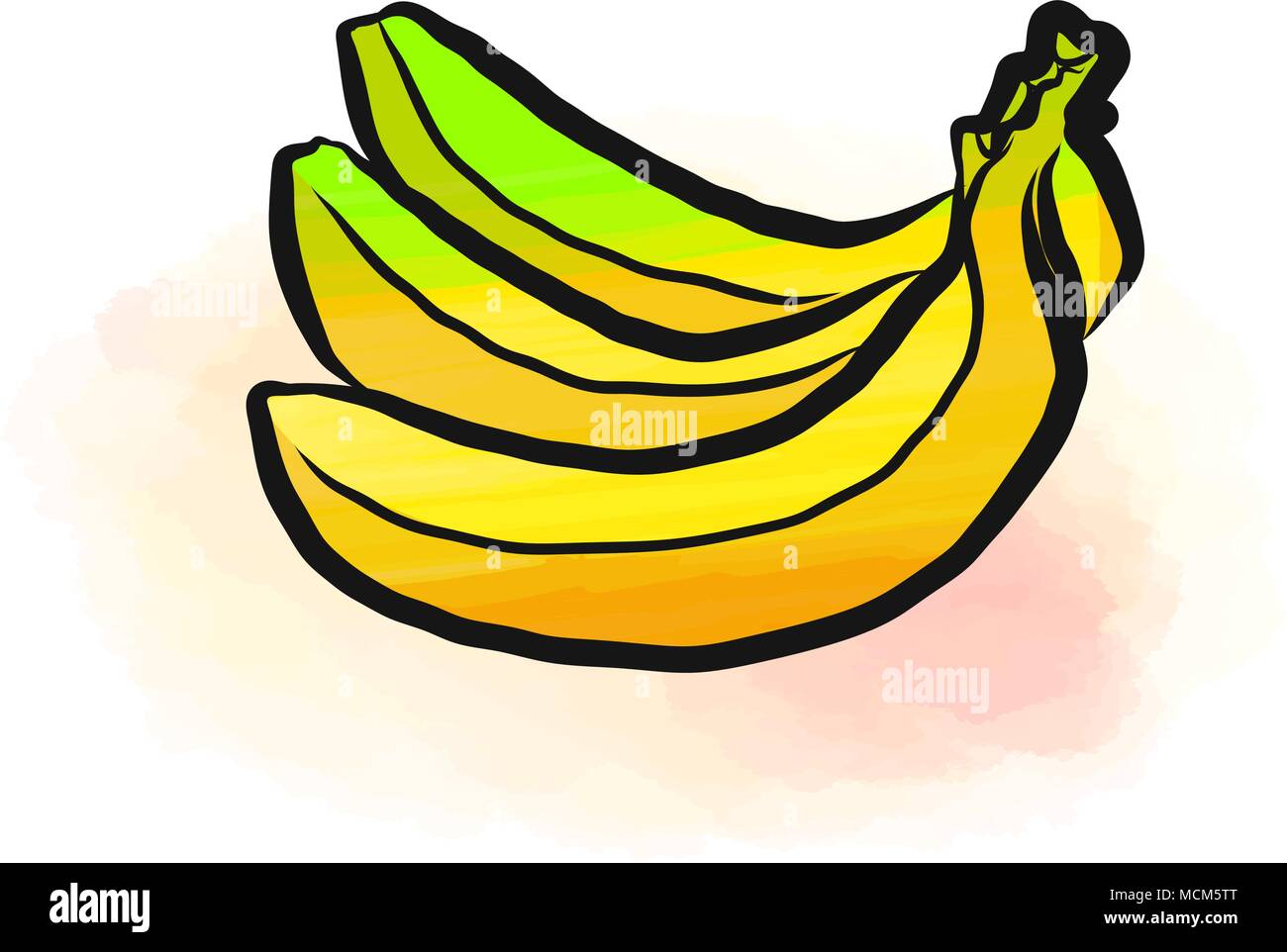 Colored drawing of bananas. Fresh design of colorful fruits made in