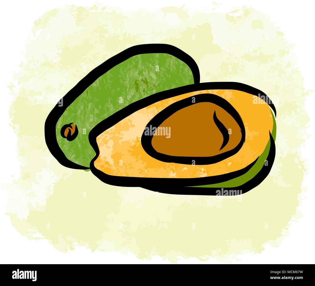Colored drawing of avocados. Fresh design of colorful fruits made in watercolor style. Modern marketing illustration on white background. Stock Vector