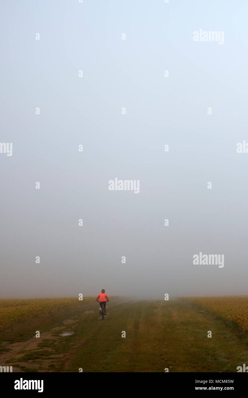Fog bound hires stock photography and images Alamy