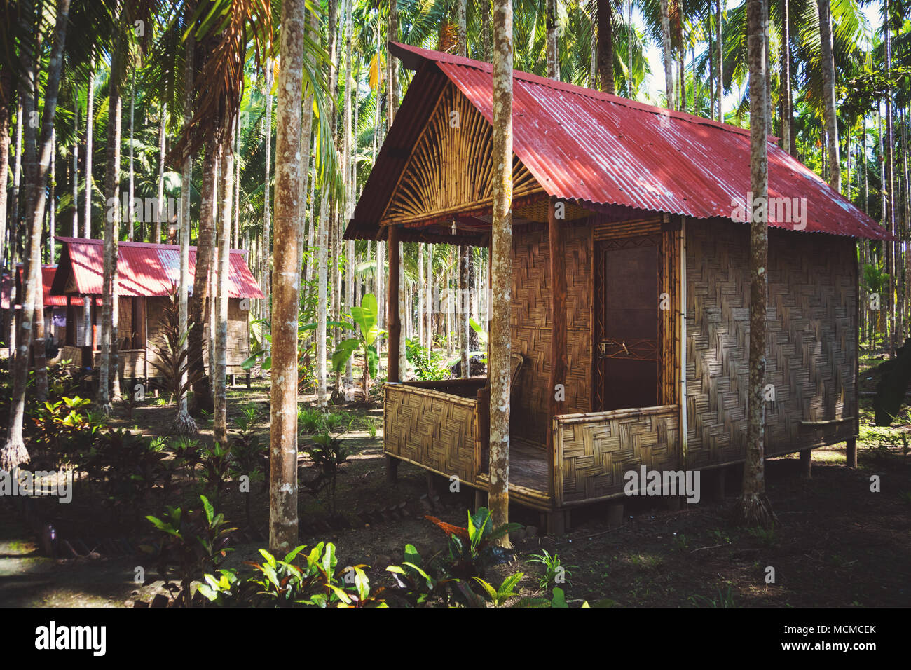 Bamboo houses in a palm grove. The Havelock island of the Andaman and