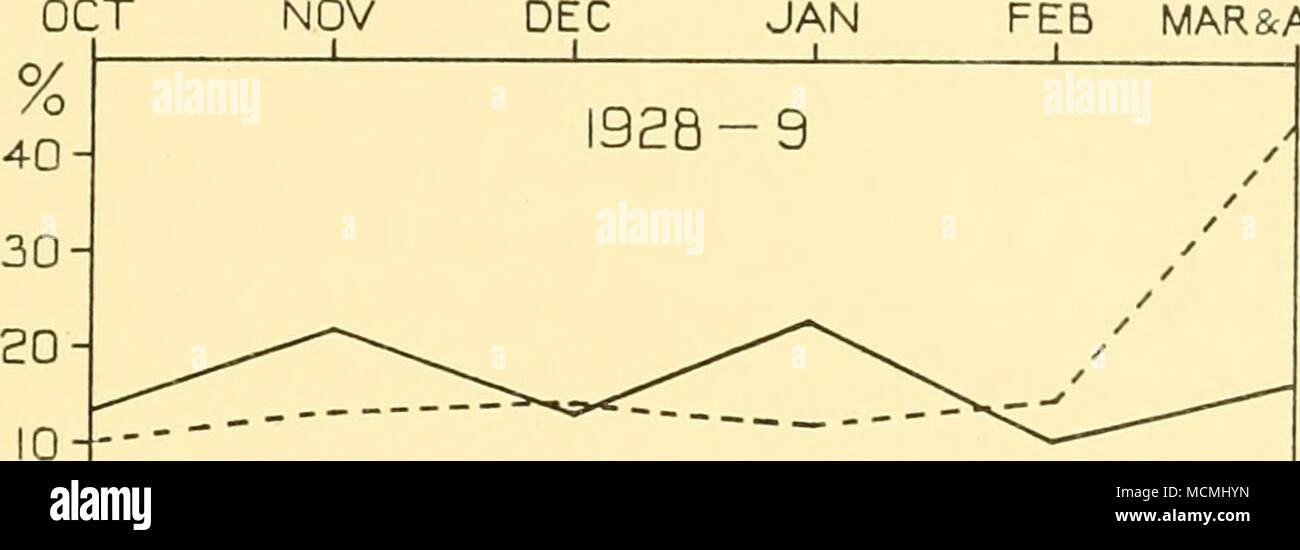 . 1929-30 /0 4-0 30- 20- 10- 1930- NOV DEC JAN FEB* MAR Fig. 6. The seasonal variation in the percentage of whales with thick film during the three seasons studied at South Georgia. Solid lines Fin whales, pecked lines Blue whales. the maximum southern concentration of the given species of whale, and here we have but another expression of the fact that the centre of the southern concentration of Blue whales lies well to the southward of that of the Fin. The opinion that most of the Blue whales taken on the South Georgian grounds during the seasons studied, were on passage to and from other fe Stock Photo