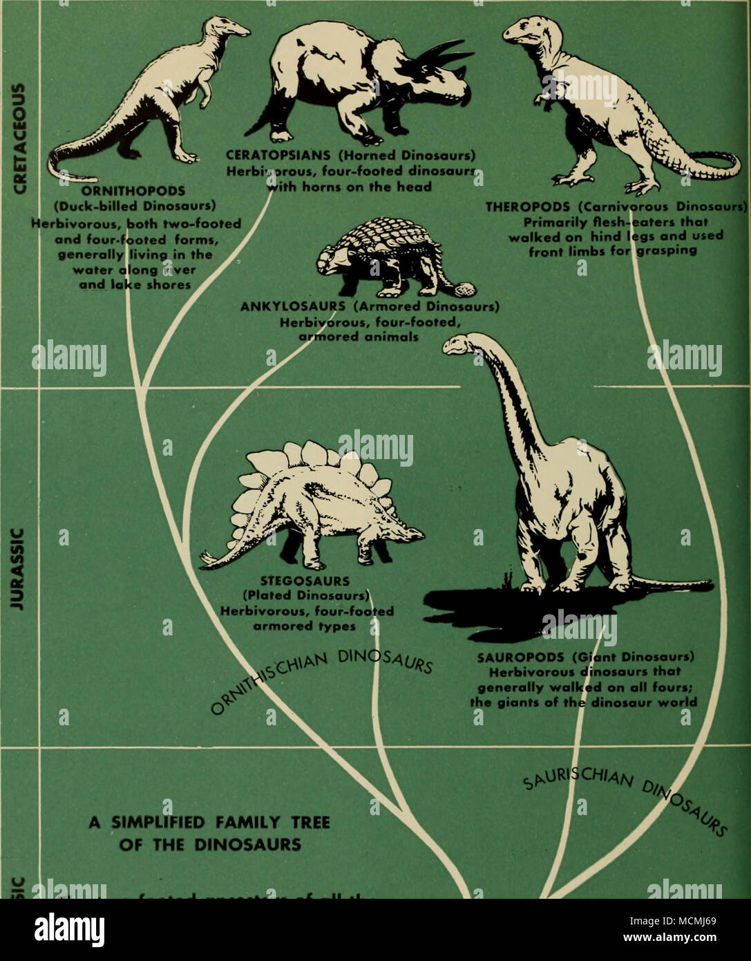 . The twofooted ancestors of all the