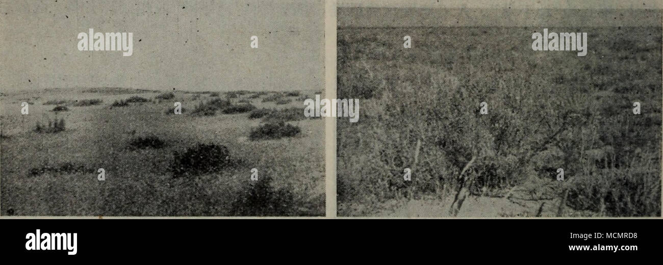 A6a High Resolution Stock Photography And Images Alamy