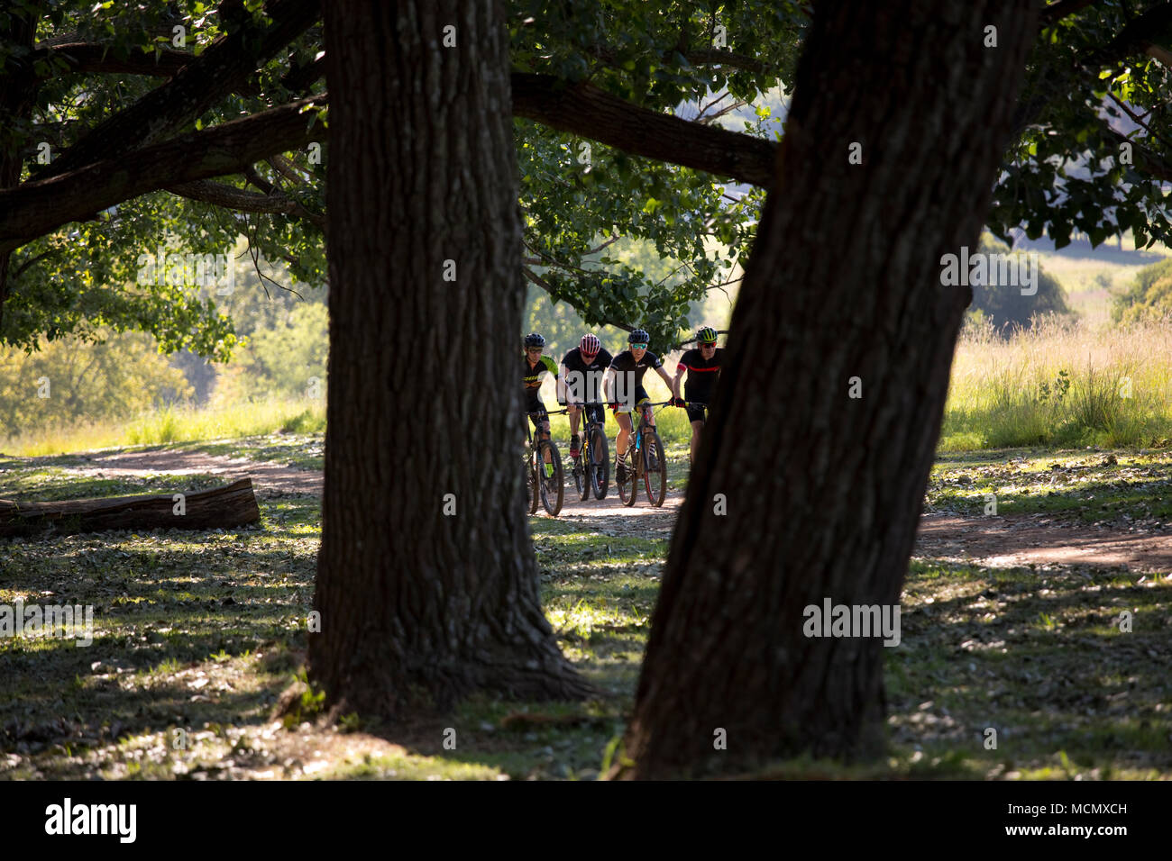 Cyclists riding through a park Stock Photo