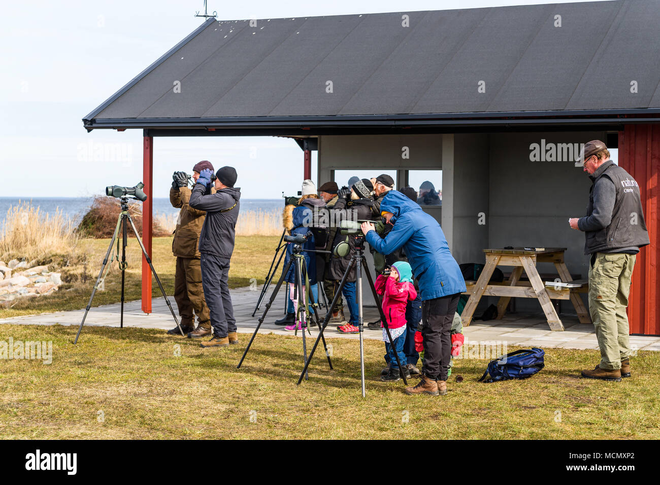 Stora ror, Sweden - April 7, 2018: Documentary of everyday life and environment. Bird watchers looking for migrating birds returning in spring. Stock Photo