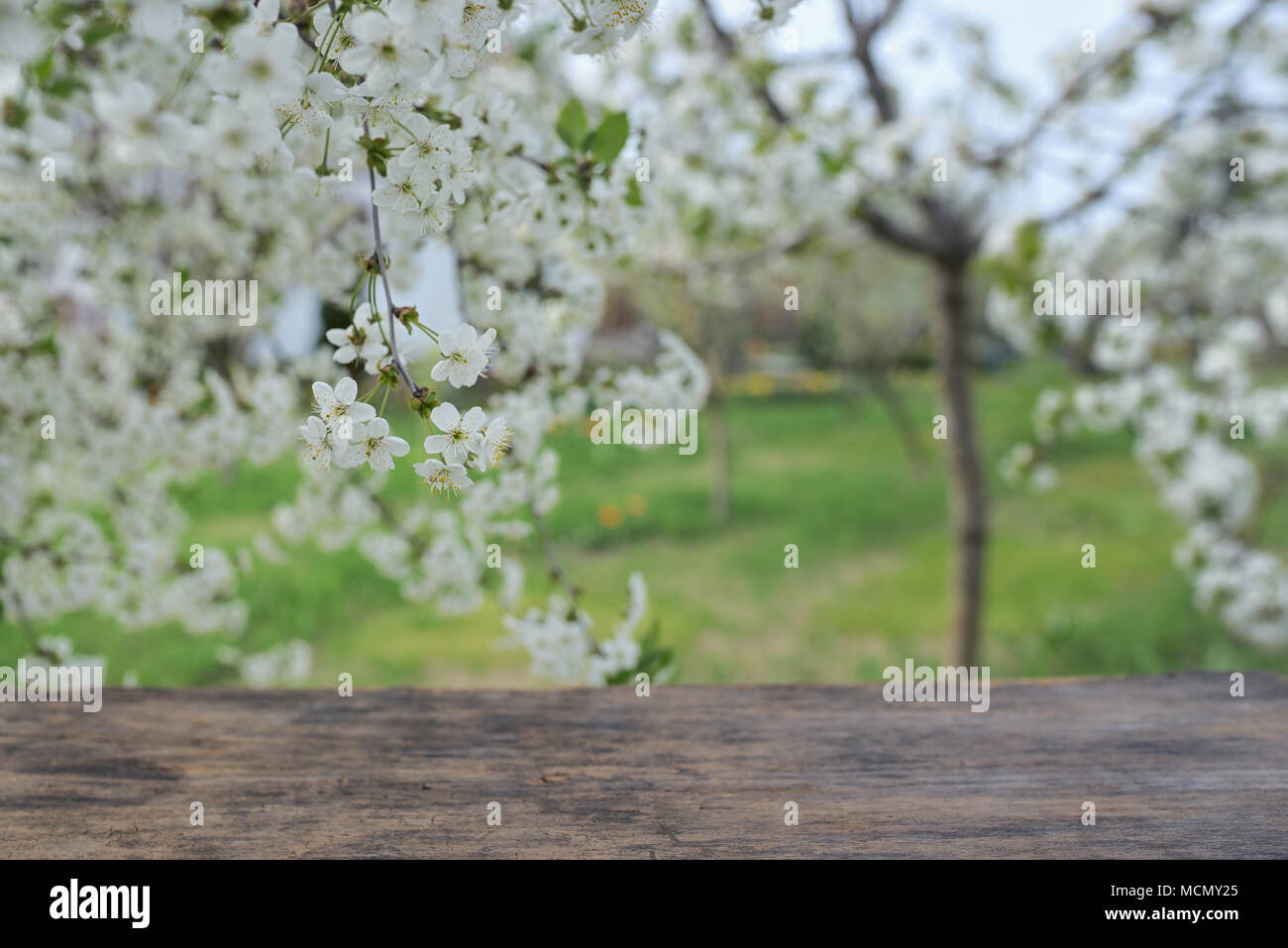 Empty wooden deck table in spring time Stock Photo