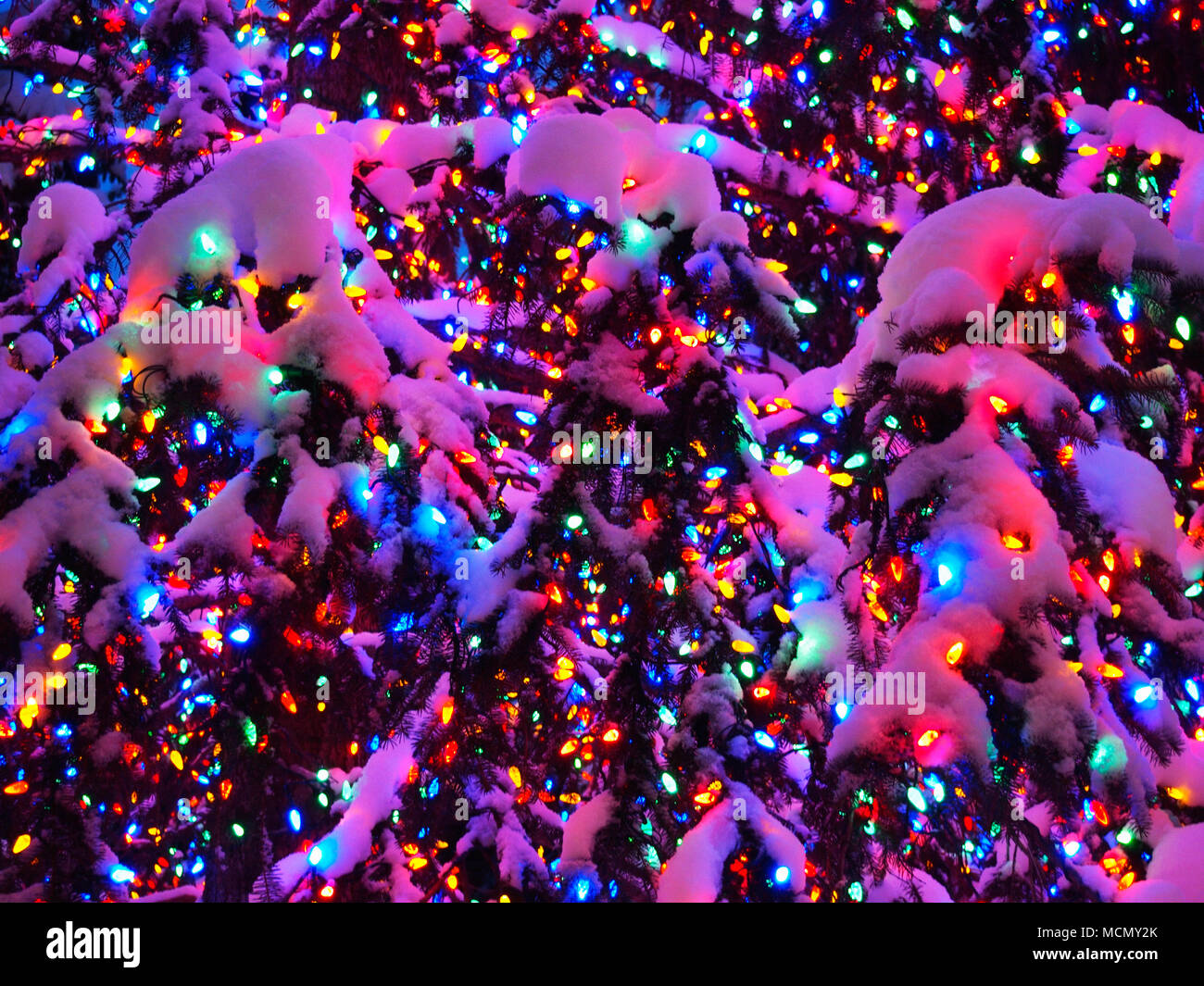 Christmas tree lights snow hires stock photography and images Alamy