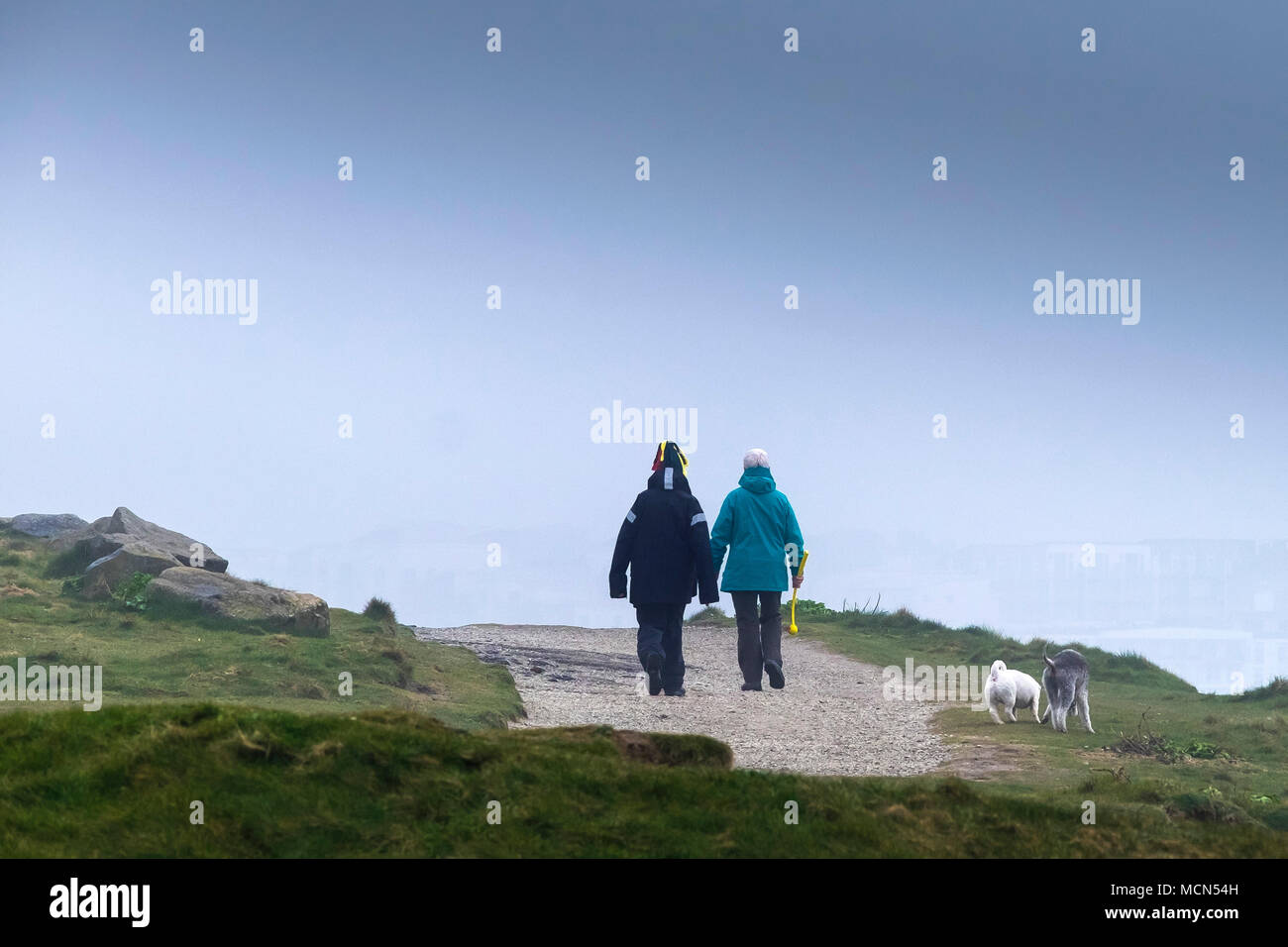 Dog walkers on The Headland in misty weather conditions in Newquay Cornwall. Stock Photo