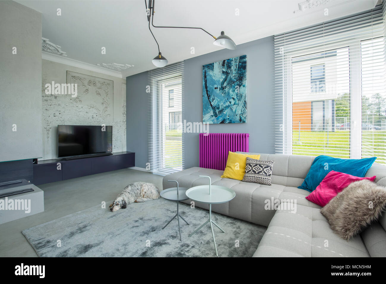 Stylish gray, spacious movie room interior with large sofa, tv, bio fireplace, sleeping dog and creative colorful decorations Stock Photo