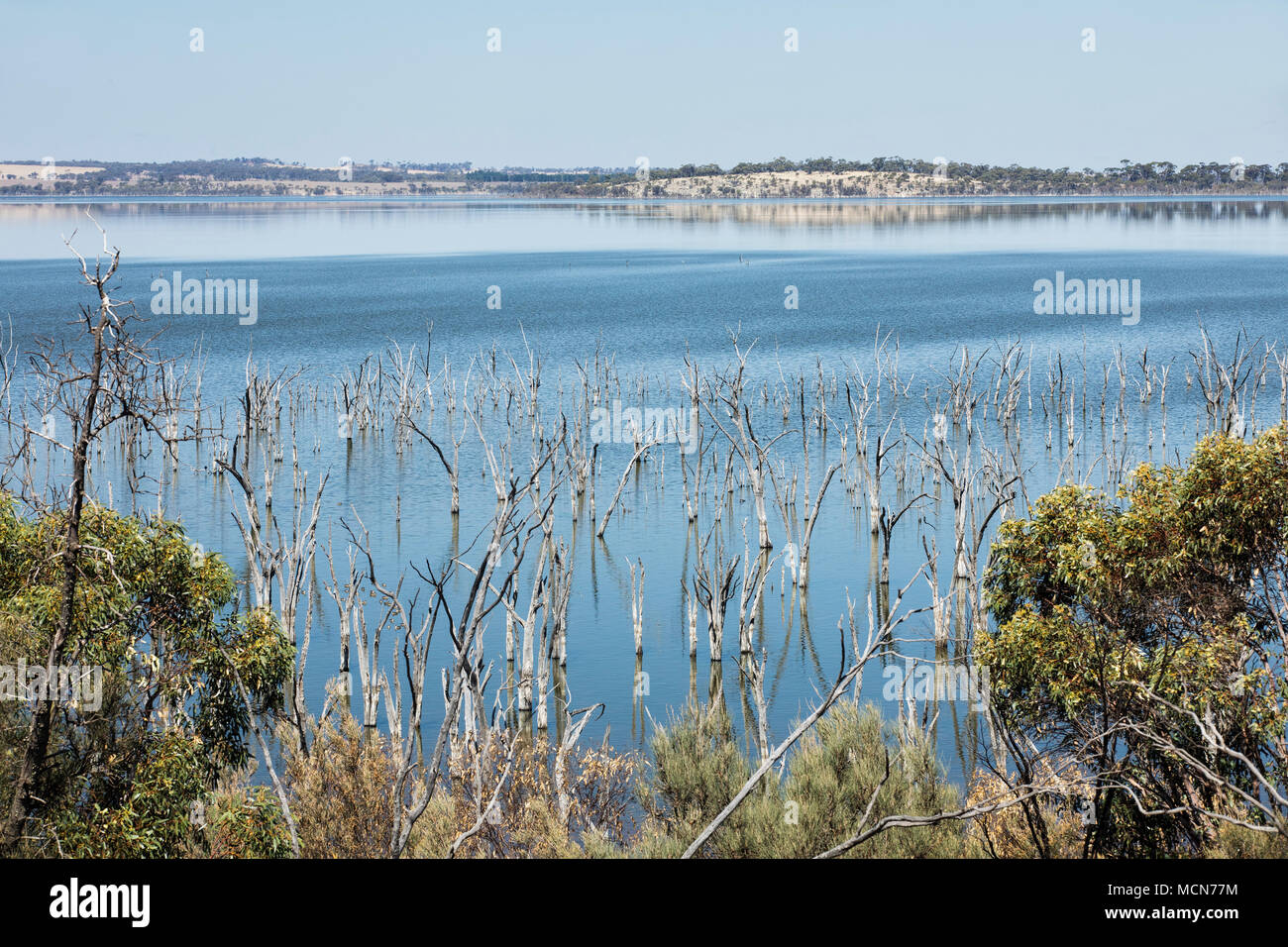 Dumbleyung Lake Western Australia, location of Donald Campbell's water