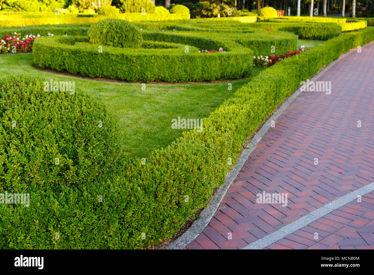 green cut bush in landscape design Stock Photo Alamy