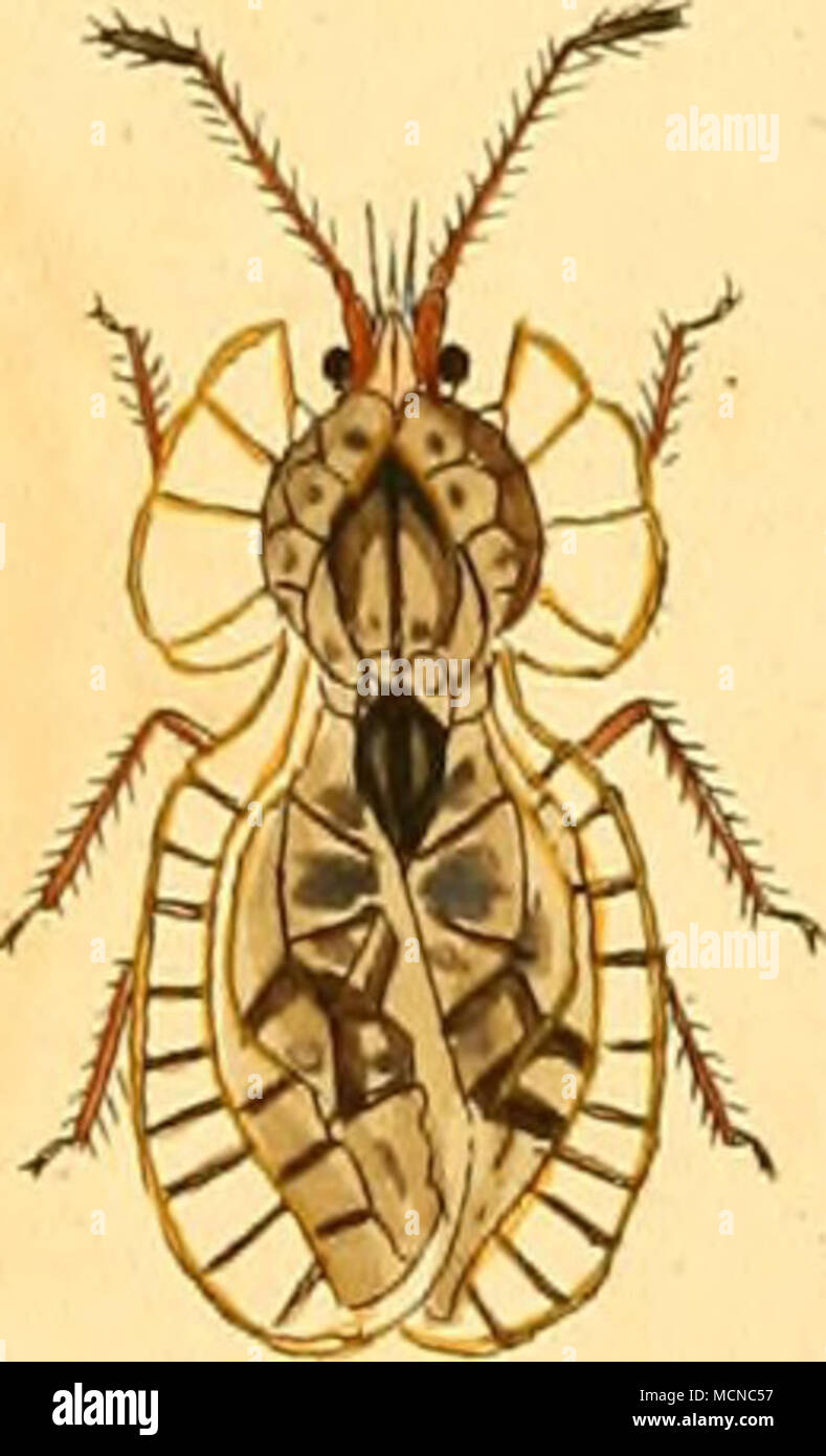 . I I Stock Photo Alamy