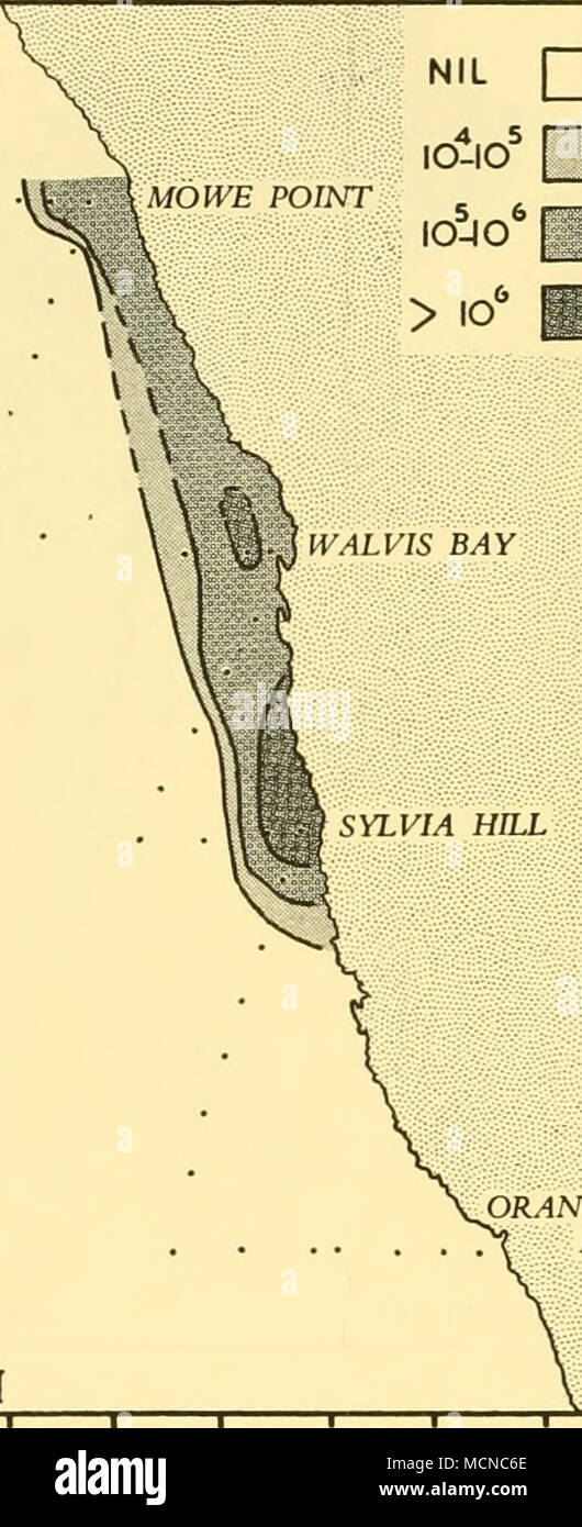 25 1 1950 Stock Photos 25 1 1950 Stock Images Alamy - 