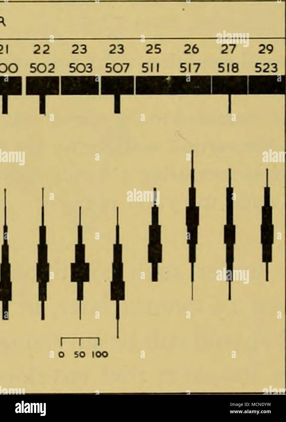 Station Adolescent 6 Furcilia S Ul 3 32 O 30 O 28 26 I 24 Z 22 Uj O Ib Z Lt 16 A 14 J 12 Z 10