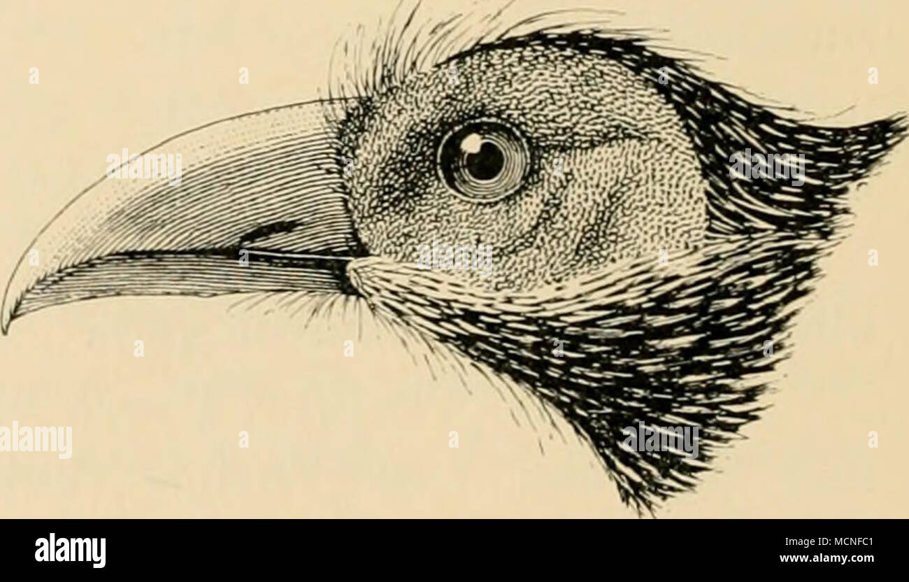 . Fig. 12. Stock Photo