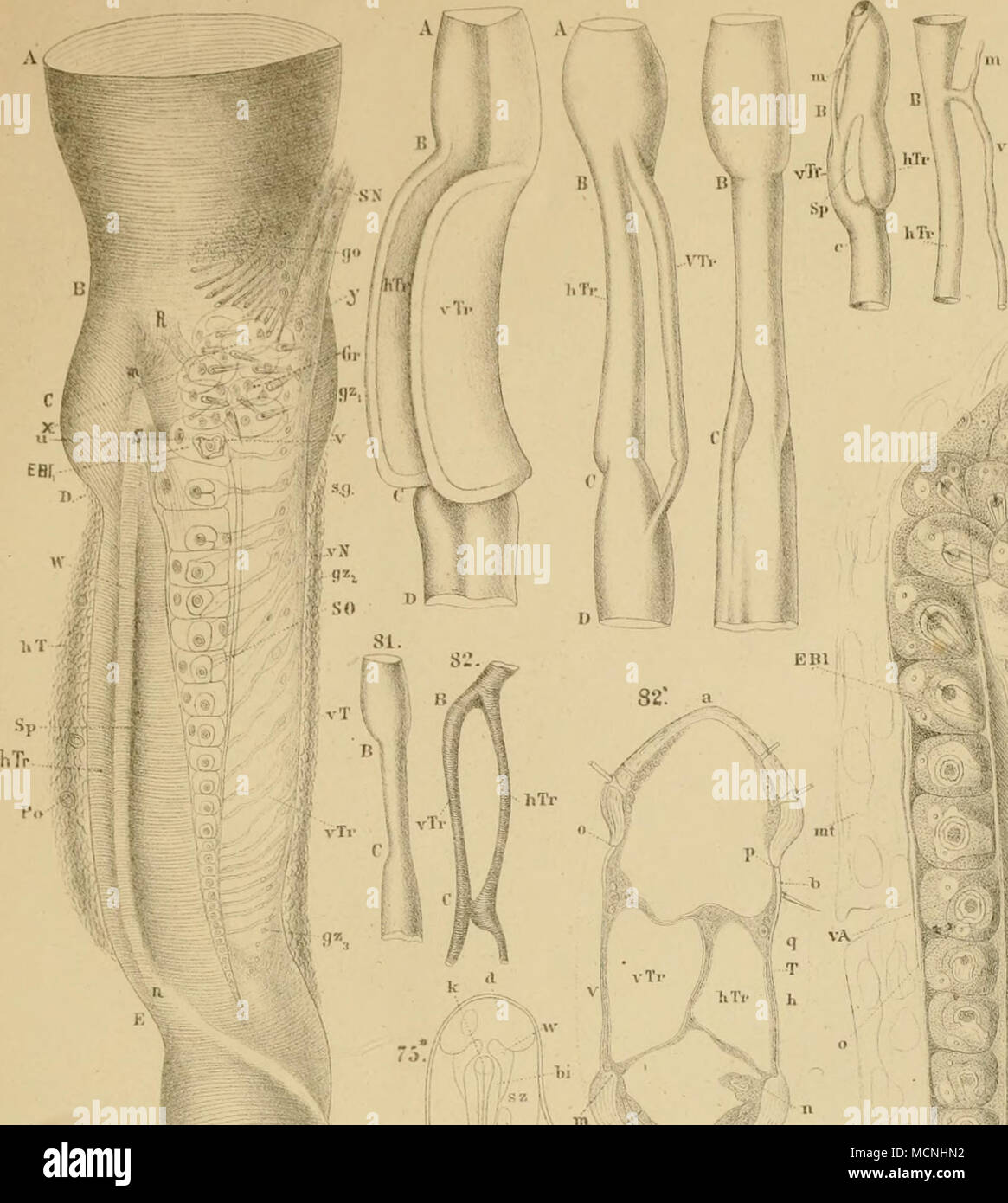 Gt R Lt I E Bi P E Ivnf Liih Ui J Htiltmanti Driikschnl Lcn D K Abkl D W M Il I Luilunv Ci Li Aluli Xxxt Ud 1 Stock Photo Alamy