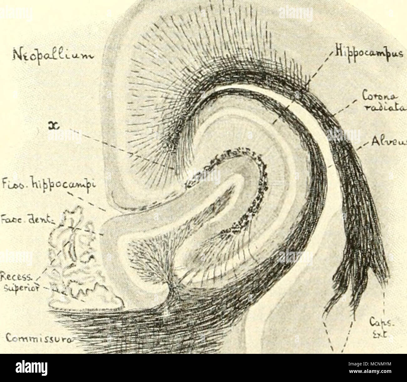 . ^j^ (^i. .v,t &... G=rb^ f .,atl v.>W Gxa i.'.t auseinander weichen