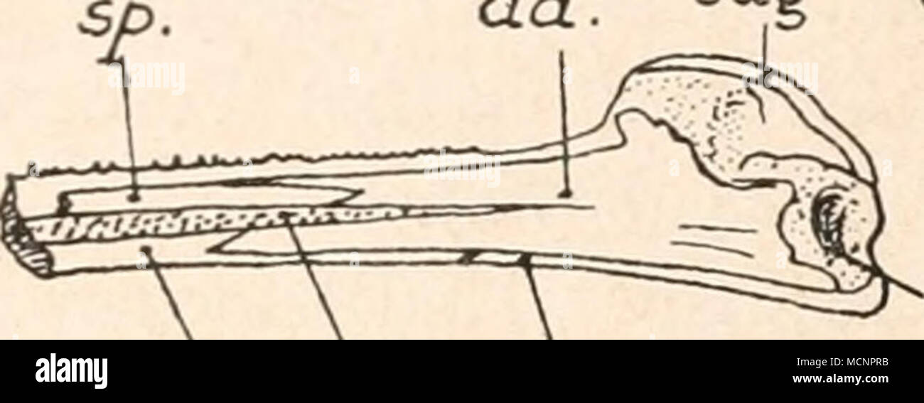 Bhy High Resolution Stock Photography And Images Alamy