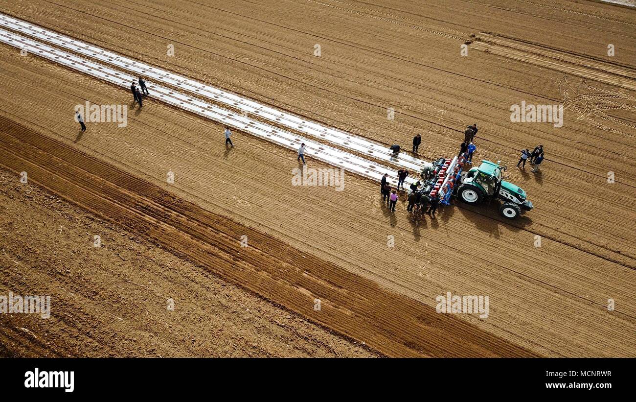 (180417) -- BEIJING, April 17, 2018 (Xinhua) -- Aerial photo taken on March 23, 2018 shows a self-driving tractor sowing cotton seeds in the field at Yaha Township of Kuqa County, northwest China's Xinjiang Uygur Autonomous Region. China's GDP reached 19.88 trillion yuan (about 3.2 trillion U.S. dollars) in the first three months of 2018, up 6.8 percent year on year at comparable prices, according to the National Bureau of Statistics (NBS).  (Xinhua/Hu Huhu) (lb) Stock Photo