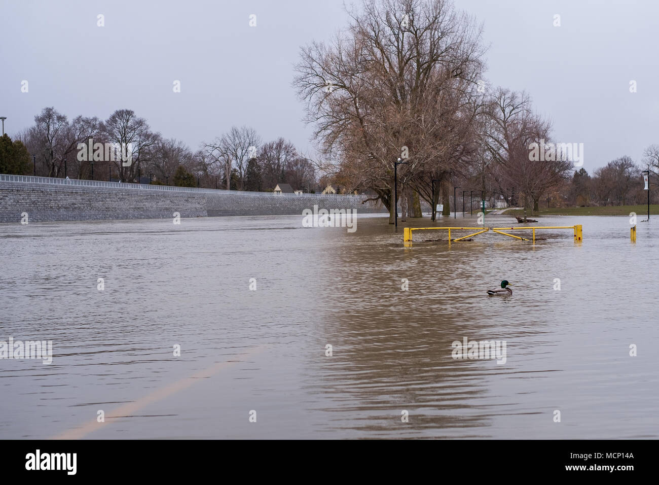 Harris Park, London. 17th Apr, 2018. UK Weather The Thames River continues to breech its banks