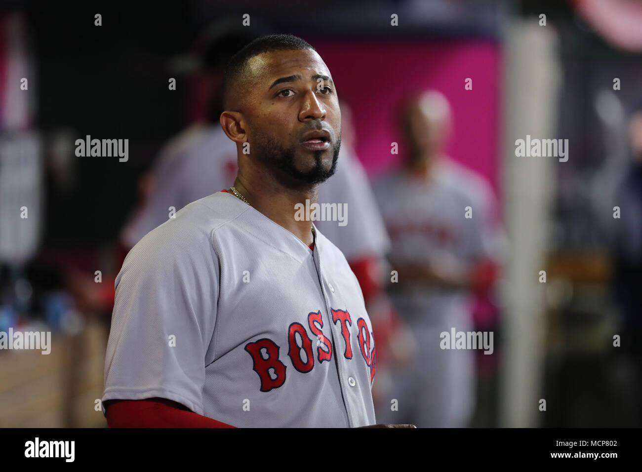 April 17, 2018: Boston Red Sox second baseman Eduardo Nunez (36) watches his slide the plate being reviewed from the dugout in the game between the Boston Red Sox and Los Angeles Angels of Anaheim, Angel Stadium in Anaheim, CA, Photographer: Peter Joneleit Stock Photo