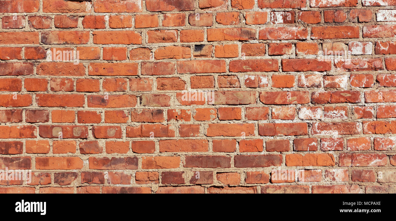 Basic brick hot sale
