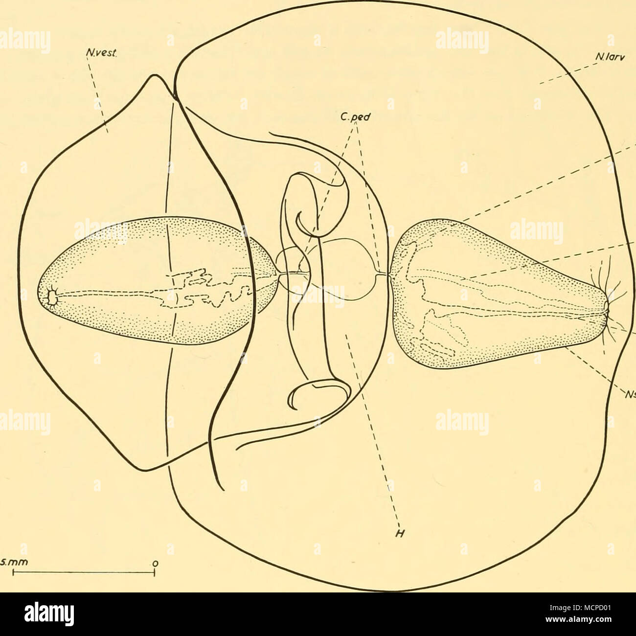 8 Rad High Resolution Stock Photography And Images Alamy