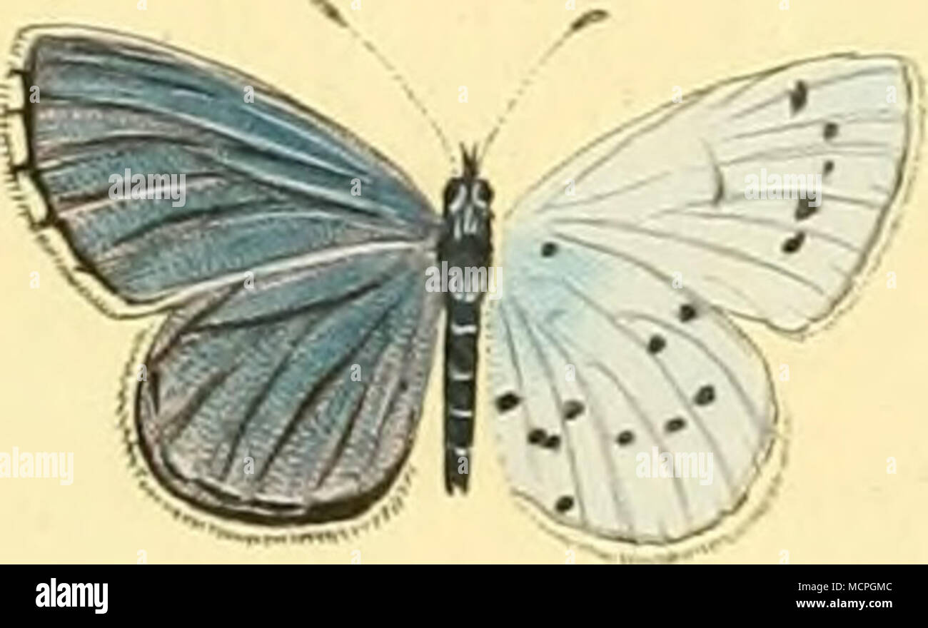 Pcip hi-res stock photography and images - Alamy