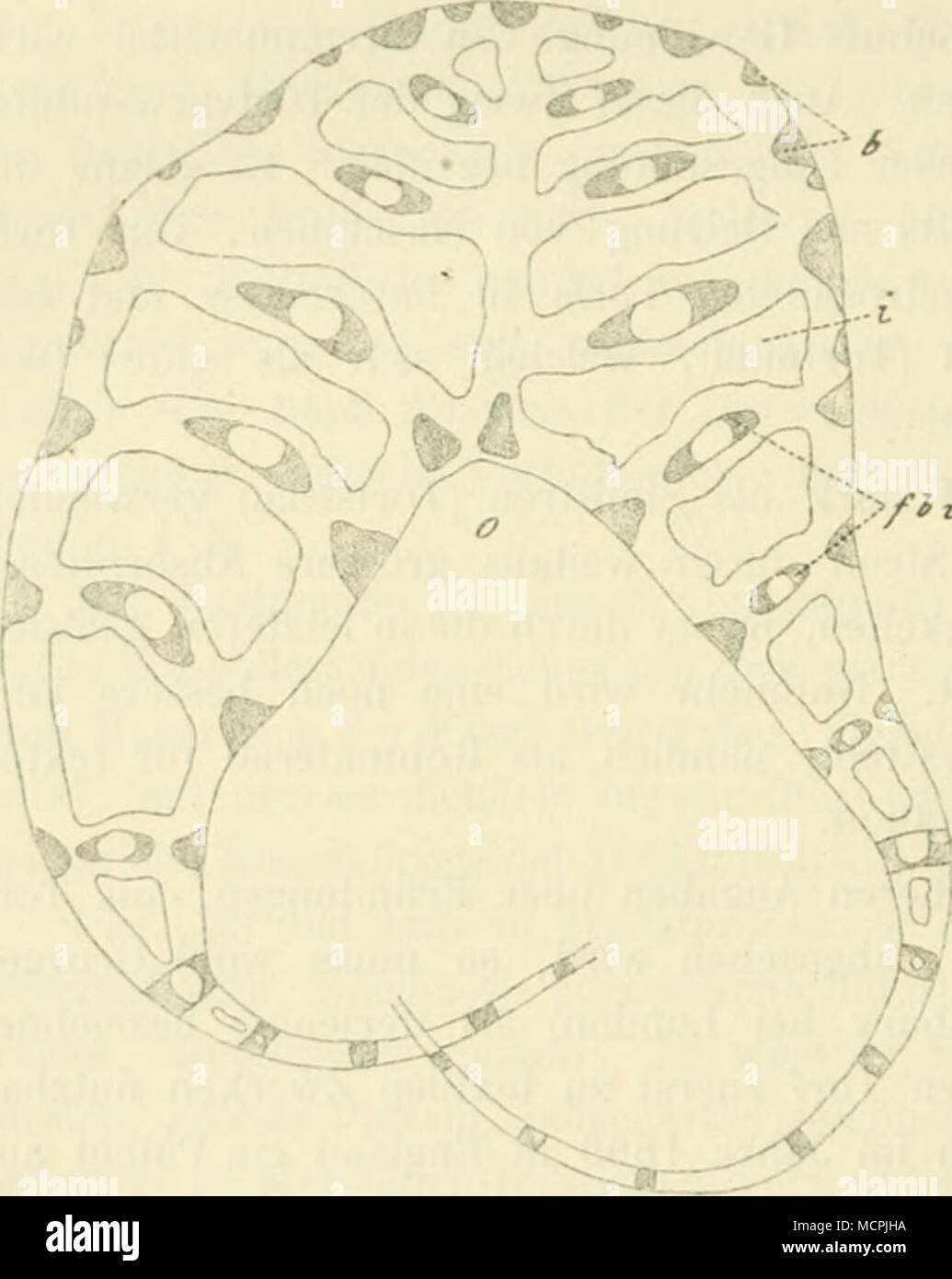 blue tint nike react