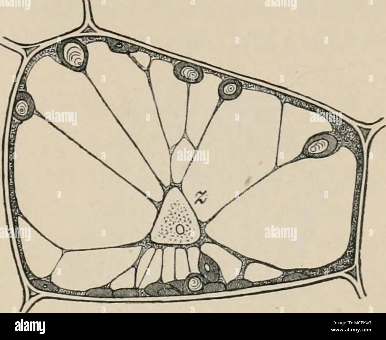 Bookp High Resolution Stock Photography And Images Alamy