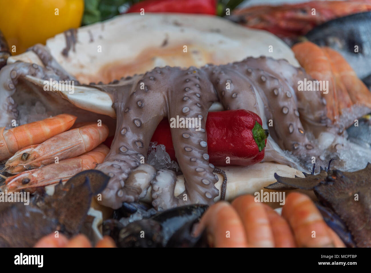 Fangfrischer Octopus, Scampis und Langusten mit Muschel an einem Marktstand in Rethymnon auf Kreta Stock Photo