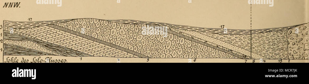 Scaca Bat Gt Soa O 5xma Oaa Marines Plioca N W La Llhiili L Quot Ii F N Quot I 3 D C O A 0 O O O A N C 0 O O A A O I Tonmerirel Korallenbank Va Gera Llschicht
