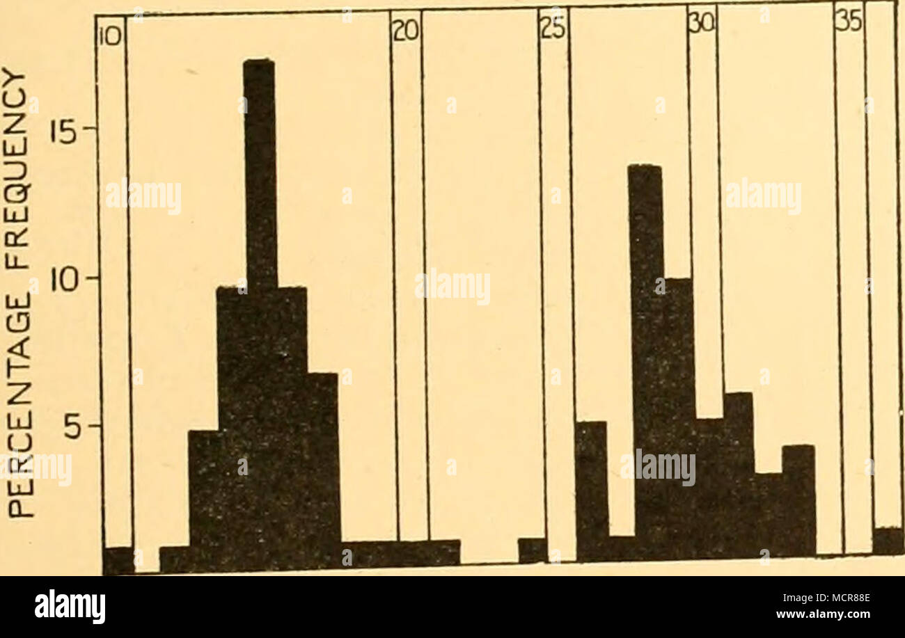 . Most were taken in autumn, and none during the winter survey when a large proportion of the stations were worked in deep water beyond the shelf edge. The species is, indeed, very much an inhabitant of the plain of the shelf, judging by the depth distribution shown in Fig. 42. From this it can be seen that while a few have been taken in shallow LENGTH.CMS littoral waters there was only a single specimen from beyond the shelf edge. From Bennett's notes, quoted by Norman (1937, p- 96), it would seem that if there is any inshore migration of Champsocephalus, it will take place in late summer or  Stock Photo