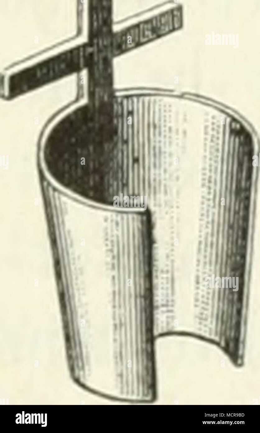 . ^ytgur 47. !?isur 48 a. ??t9Ur 48 b. entbel)rlid^en unter ©d^onung be§ SaÜenä n)egfd()neibenb. — 2lber aud; im Saotbeet er§ie()t man Süfdf)elpf(an5en ober ridjtiger ^ftaujen^ büfd^eP) burd^ nid;t ju bidjte 9{iUenfaat, bie man eüentued bei ju bid;tem ©taub mitteift 2)urd^rupfen§ gelegentlid) bei Sluljätenl oer= bünnt; man benu^t bie ^ffan,^eu mit brci, im ©ebirge mit 9iücffid^t auf bereu (angfame ©ntroidelung luoljl and) erft mit 4—5 :3af)i^en. 2)ai 2lu§()eben erfolgt mit bem ©pateu in ber äl^eife, ba^ je eine fRitle in gröf3ereu Stüdeu ober Sauen abgeftod)en unb auf ber ^ultur^ ftädje bann m Stock Photo